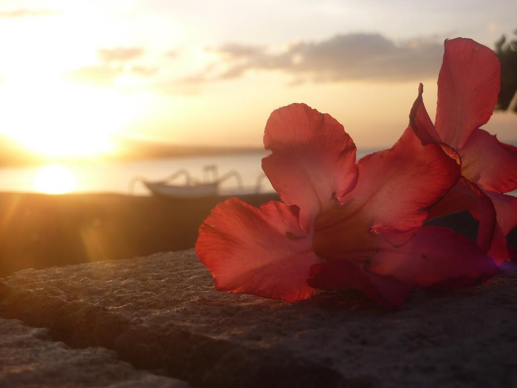 Tambun Sari Beach Homestay Amed Dış mekan fotoğraf
